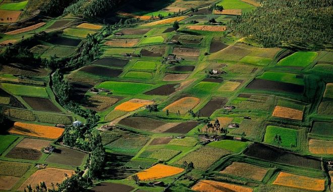 România are prea puţine terenuri destinate agriculturii ecologice - romaniaarepreaputine-1612172873.jpg