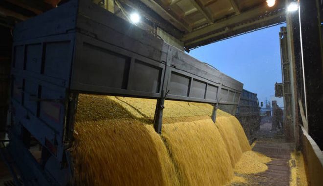 România a încasat peste 507 milioane de euro din exportul de grâu - romaniaexportgrausursapublicnews-1602419855.jpg