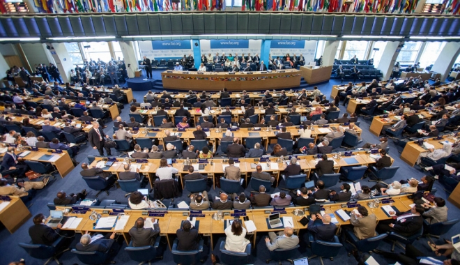 România intră în Consiliul FAO - romaniafao-1462542857.jpg