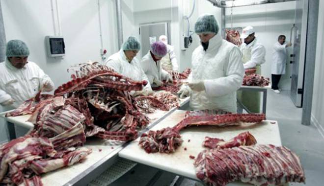 România a produs mai multă carne și mai mult lapte în 2014 - romaniaproduce-1435683996.jpg