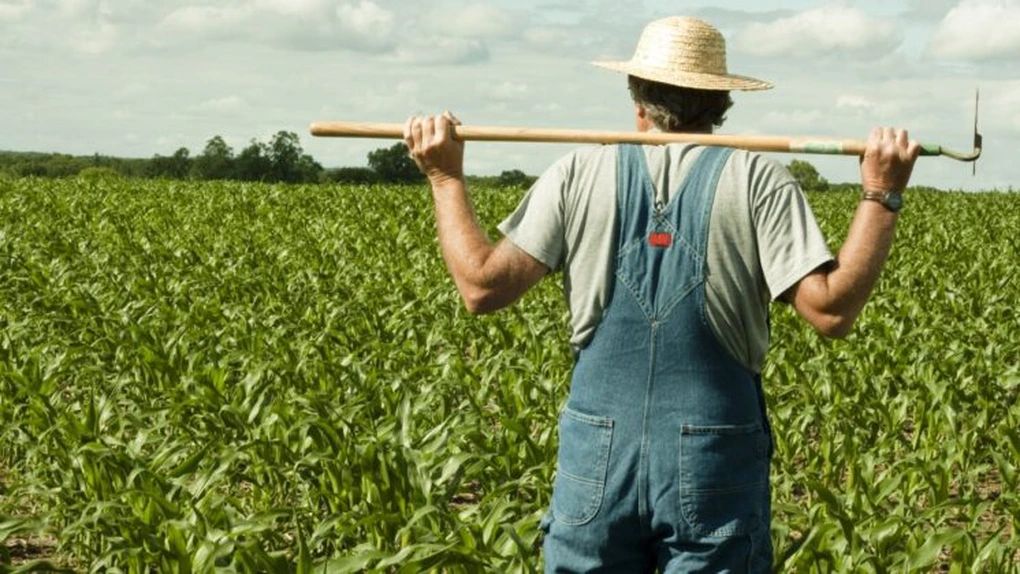 Românii au printre cele mai multe ore lucrate săptămânal, la nivel european