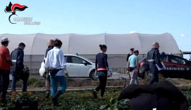 Muncitori români, sclavi în Italia. Oameni plătiți cu 4 euro pe oră, umiliți și ținuți în condiții mizere - romanisclaviinitalia1-1536910416.jpg