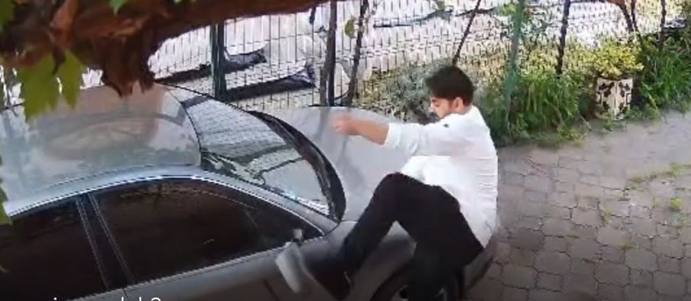 Vecinii agresivi mai ușor de pedepsit. Codul Penal a fost modificat - romidistrugeri-t-1716903792.jpg