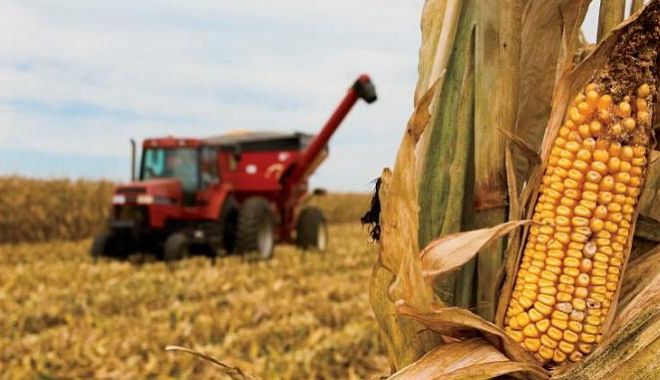 România – lider agricol - romnia8211lideragricol-1570191141.jpg