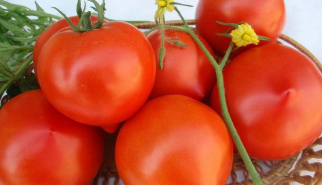 Roşiile conţin o mulţime de nutrienţi şi antioxidanţi - rosiile-1629992323.jpg