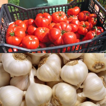 Fermierii care au cultivat roșii și usturoi vor primi bani în plus. Cine se califică - rosiiusturoi5346568420x420-1717428462.jpg