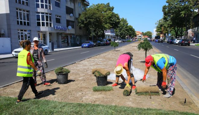Rulouri de gazon, în scuarurile de pe bulevardul Mamaia - rulouridegazon-1598799299.jpg