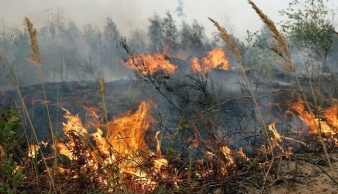 Stare de urgenţă decretată în regiunea rusă Riazan din cauza incendiilor - rusiastareurgenta-1661261426.jpg