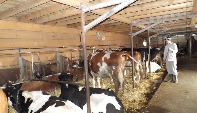 S-a aprobat bugetul pentru sectorul zootehnic. Iată ce sumă a fost alocată! - saaprobatbugetulpentrusectorulzo-1644947935.jpg