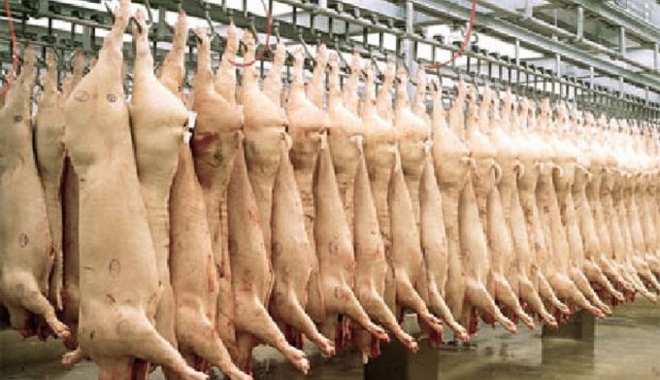 S-a aprobat sprijinul financiar pentru depozitarea privată a cărnii de porc - saaprobatsprijin-1464884008.jpg