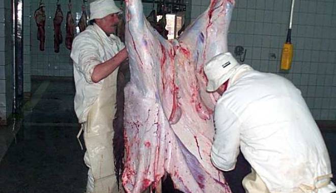 Sacrificările de animale și păsări au scăzut - sacrificarile-1449658500.jpg