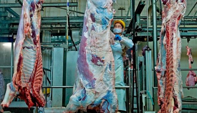 Sacrificările de bovine au crescut cu peste 52% - sacrificariledebovine-1455021130.jpg
