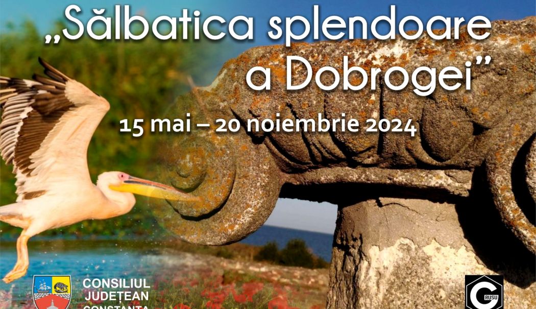 „Sălbatica splendoare a Dobrogei” – filmul documentar care va prezenta frumusețea, biodiversitatea și atracțiile naturale ale ținutului dintre Dunăre și Marea Neagră