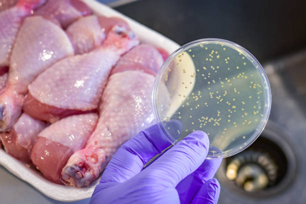 Alertă alimentară. A fost retrasă carne de pui suspectă de Salmonella - salmonela-buzau-1773656330.webp