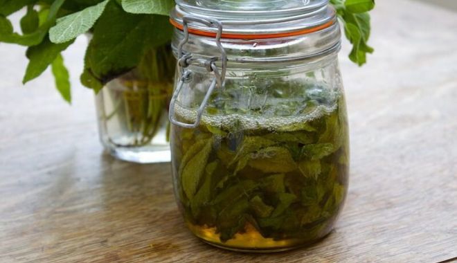 Salvia și mierea vă ajută la tratarea zgârieturilor - salviasimiereavaajuta1-1635687047.jpg