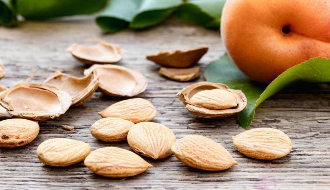 Cât de periculos este să consumi sâmburi de caise - samburi-1755106712.jpg