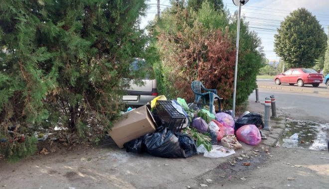 Sancţiuni pentru persoanele care aruncă gunoiul pe domeniul public - sanctiuni-1630343095.jpg