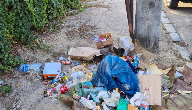Sancţiuni mai aspre pentru gestionarea incorectă a deșeurilor. Iată ce amenzi intră în vigoare - sanctiuni-1630940219.jpg