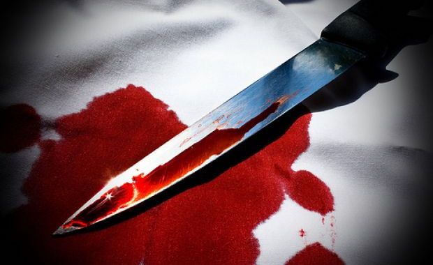 Bărbatul suspectat că  a UCIS și TRANȘAT o femeie a recunoscut CRIMA! - sange-1369931820.jpg