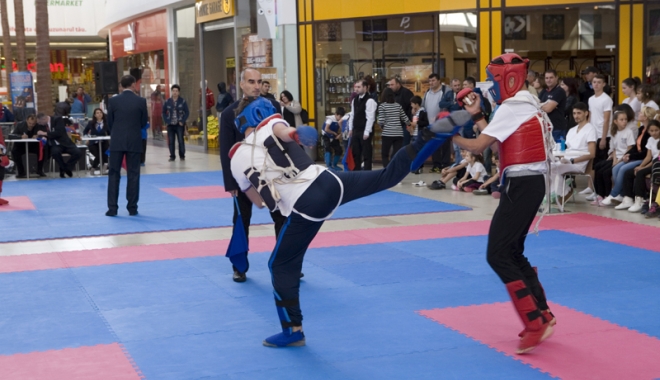 Șapte cluburi din județ, prezente la Campionatul Național de Kung-Fu - saptecluburi-1466003983.jpg
