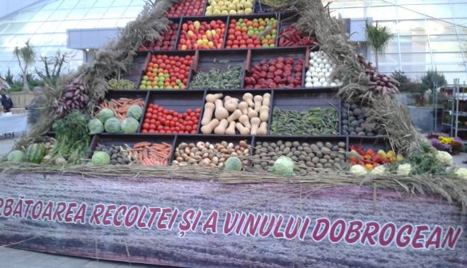 S-a votat bugetul pentru Sărbătoarea Recoltei și a Vinului Dobrogean - sarbatoarearecoltei-1442310267.jpg
