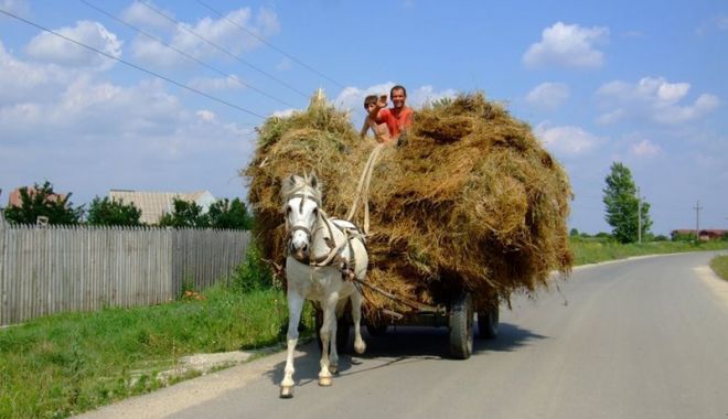 Să vină șeful! - savinasefu-1521558215.jpg