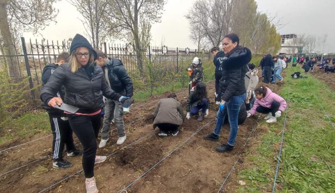 Elevii Școlii Nr. 12 au participat la plantarea puieților viitoarei Păduri Erasmus - scoala-12-1711630767.jpg