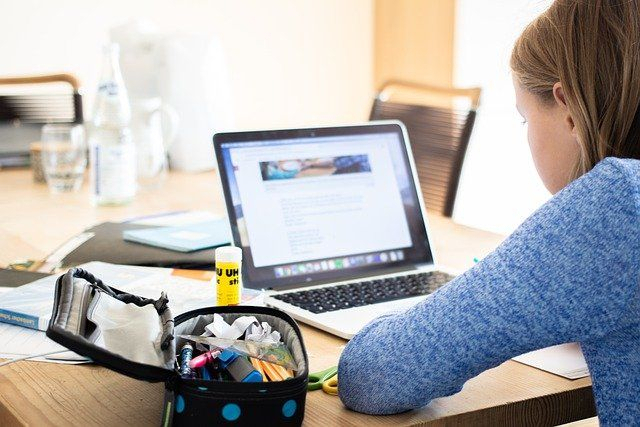 România ocupă ultimul loc la educație digitală în UE - scoalaonlinefotopixabaycom-1739606527.jpg