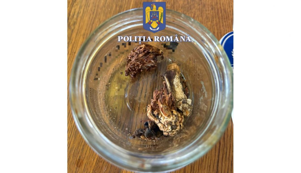 Costinești. Polițiștii au găsit ciuperci psihoactive în rucsacul unui bărbat
