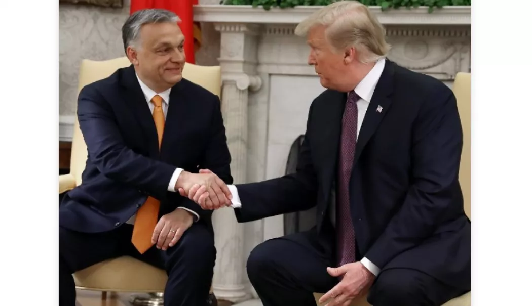 Tăcere totală după șocul electoral din Ungaria. Trump evită orice comentariu despre înfrângerea lui Viktor Orbán - screenshot-20260413-113016-1776069076.webp