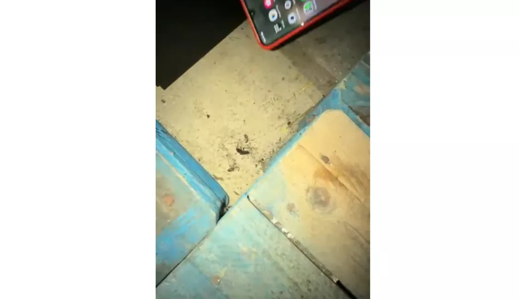 Descoperiri alarmante într-un club frecventat din Constanța! Ce au descoperit inspectorii - screenshot11-1771833075.webp