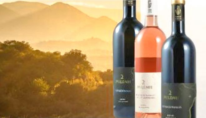 Ei sunt câștigătorii celor trei baxuri de vin premium "2MILENII", în valoare de 300 lei fiecare