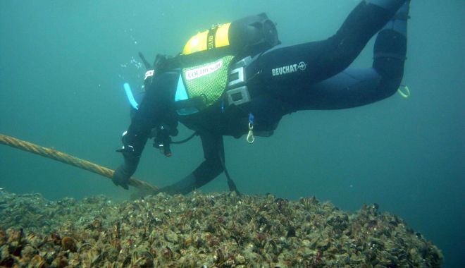 Scufundări gratuite la vestigiile subacvatice din Marea Neagră - scufundari2-1591631228.jpg