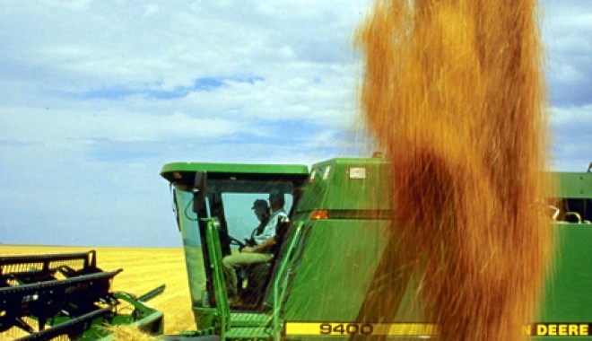 Agricultorii trag linie: producția de grâu, la 70% față de cea de anul trecut - seceris-1341844703.jpg