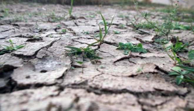 Situație dramatică în agricultură. 1,1 milioane de hectare afectate de secetă - seceta-1589289979.jpg