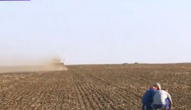 Seceta extremă afectează grav culturile. „Nu a plouat de 2-3 luni. Punem sămânța dar nu știm ce va ieși”