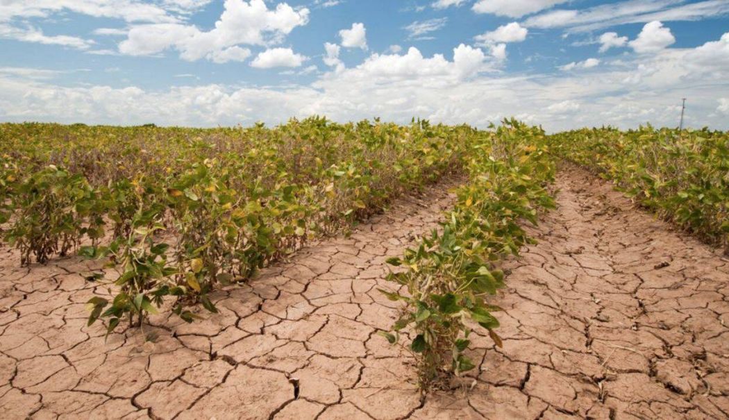 Ministrul Agriculturii spune că se va încheia ciclul de 4 ani de secetă: ”A nins în zonele unde au fost probleme”