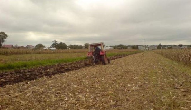 Agricultura Dobrogei,  salvată de ploi - secetaprofundaploiputine-1318014601.jpg