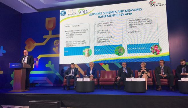 Șeful APIA, la Moldova Business Week - sefulapialamoldovabusinessweek-1543750007.jpg