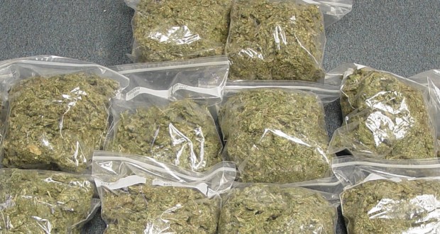 Un kilogram de cannabis provenit din Spania, găsit de polițiști în urma unor percheziții domiciliare - seizedcannabis620x330-1552904837.jpg
