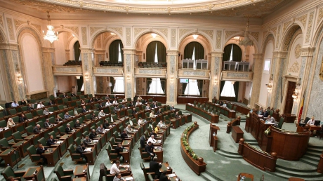 10 Mai devine sărbătoare națională - senat74545400-1322572715.jpg
