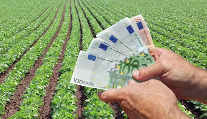 Se plătesc ajutoarele în sectorul vegetal - seplatescajutoarele-1488125804.jpg