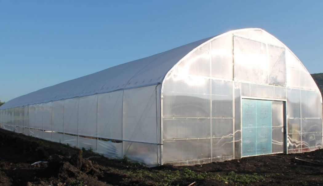Ministrul Agriculturii, despre taxa pe sere și solarii: „Nu s-a discutat în coaliție”