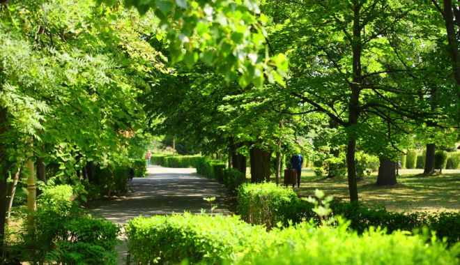 Şerpi la Constanţa. Primăria, depăşită de bălăriile din spaţiile verzi - serpilaconstanta-1623350418.jpg