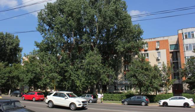 ANM. Cum va fi vremea astăzi, la Constanța - sesizareplopibulevardul1mai1-1440747230.jpg
