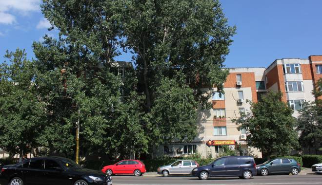 RADET Constanța. Anunț important pentru reprezentanții asociațiilor de locatari sau proprietari - sesizareplopibulevardul1mai6-1457364497.jpg