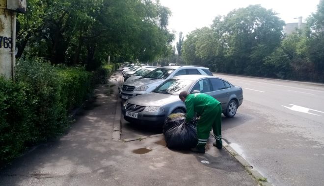 Sesizări pe WhatsApp pentru cei care aruncă gunoaiele la întâmplare, în Constanţa - sesizari-1628764503.jpg