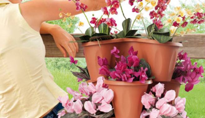 Ghivece extravagante pentru plante de interior - set3ghivecetrifoglio1442821-1421244182.jpg