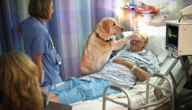 Sfaturile gratuite, de obicei inutile - sfaturi-1554933290.jpg