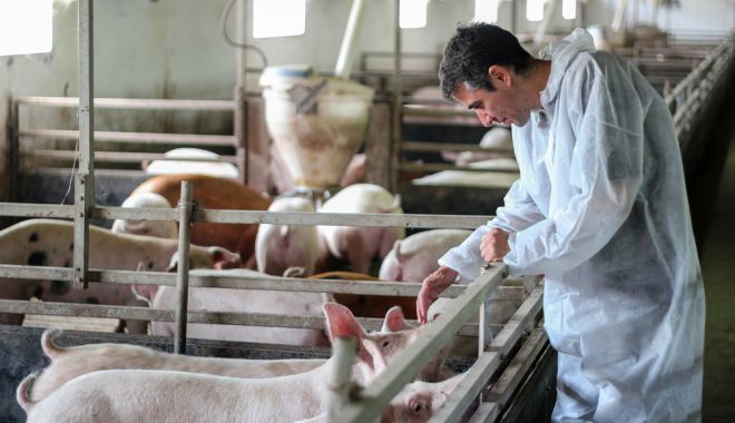 Comisia Europeană solicită României să ridice restricţia impusă veterinarilor de a presta servicii dintr-un alt stat